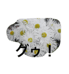 お花たちの日常（個別スタンプ：7）