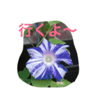 お花たちの日常（個別スタンプ：10）