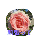 お花たちの日常（個別スタンプ：12）