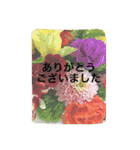 お花 DE あいさつ（個別スタンプ：13）