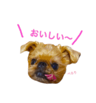 ムサシとスバル！（個別スタンプ：1）