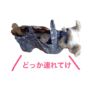 ムサシとスバル！（個別スタンプ：11）