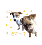 ムサシとスバル！（個別スタンプ：12）