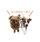 ムサシとスバル！（個別スタンプ：15）