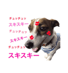 ムサシとスバル！（個別スタンプ：17）