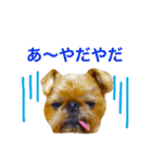 ムサシとスバル！（個別スタンプ：19）