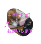 プリンちゃんのスタンプ（個別スタンプ：2）