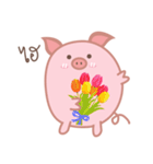 The Chubby Piggy（個別スタンプ：1）