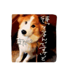 ふわふわふわろ（個別スタンプ：4）