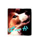 ふわふわふわろ（個別スタンプ：8）