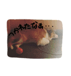 ふわふわふわろ（個別スタンプ：9）