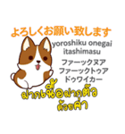 犬の楽しい旅日本語タイ語（個別スタンプ：3）