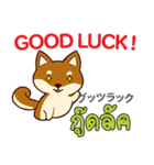 犬の楽しい旅日本語タイ語（個別スタンプ：5）