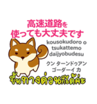 犬の楽しい旅日本語タイ語（個別スタンプ：35）