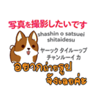 カワイイ犬日本語タイ語（個別スタンプ：8）