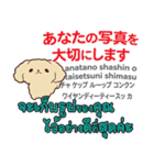 カワイイ犬日本語タイ語（個別スタンプ：9）