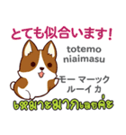 カワイイ犬日本語タイ語（個別スタンプ：13）