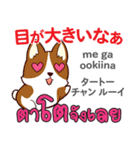 カワイイ犬日本語タイ語（個別スタンプ：28）