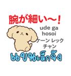 カワイイ犬日本語タイ語（個別スタンプ：34）