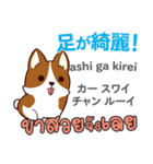 カワイイ犬日本語タイ語（個別スタンプ：38）