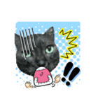 猫のとらちゃん（個別スタンプ：2）