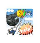 猫のとらちゃん（個別スタンプ：4）