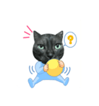 猫のとらちゃん（個別スタンプ：7）