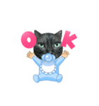 猫のとらちゃん（個別スタンプ：8）