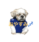 ジローくん（個別スタンプ：4）