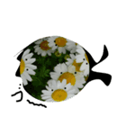 花に気持ちがあったなら・・・（個別スタンプ：1）
