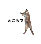 ちょむcat（個別スタンプ：2）