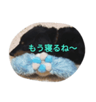 毎日使える！ラブのスタンプ（個別スタンプ：19）