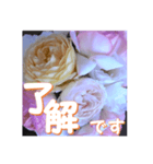 薔薇の花♡アソート10_挨拶メッセージ（個別スタンプ：1）