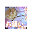 薔薇の花♡アソート10_挨拶メッセージ（個別スタンプ：2）
