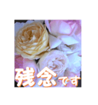 薔薇の花♡アソート10_挨拶メッセージ（個別スタンプ：6）