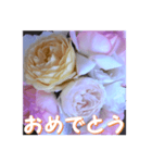 薔薇の花♡アソート10_挨拶メッセージ（個別スタンプ：8）