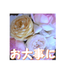 薔薇の花♡アソート10_挨拶メッセージ（個別スタンプ：10）