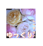 薔薇の花♡アソート10_挨拶メッセージ（個別スタンプ：12）
