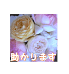 薔薇の花♡アソート10_挨拶メッセージ（個別スタンプ：16）