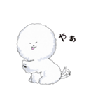 わたあめ犬・ほわっそほわっそ（個別スタンプ：1）