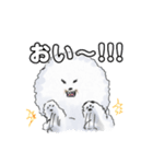 わたあめ犬・ほわっそほわっそ（個別スタンプ：4）