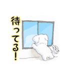 わたあめ犬・ほわっそほわっそ（個別スタンプ：14）