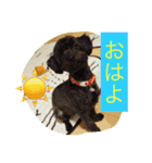 ちまきちゃん（個別スタンプ：5）
