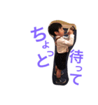 FamilyMTO（個別スタンプ：16）