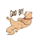 Otterdog（個別スタンプ：2）
