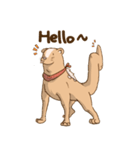 Otterdog（個別スタンプ：5）
