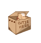 Otterdog（個別スタンプ：8）