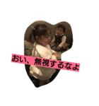 めめ とと（個別スタンプ：7）