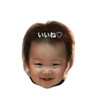 あお坊のわいわいスタンプ（個別スタンプ：3）