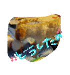 にゃんことマカロン（個別スタンプ：9）